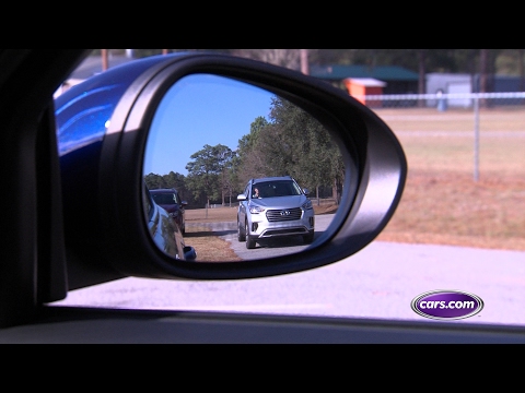 When adjusting your mirrors what should you see in the inside vertical edge of your plane mirrors?