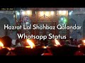 Lal Meri Pat || Lal Shahbaz Qalandar Qawwali Whatsapp Status || NFAK Status