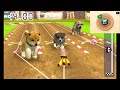 【nintendogs cats】オネェさんが犬猫と戯れます！？ 7