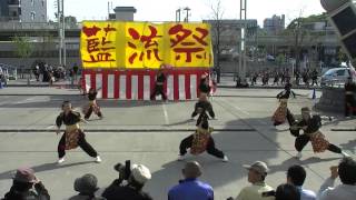 「魁 」　有松よさこい　舞りゃ～せ2014