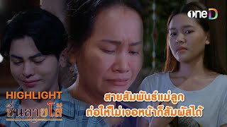 สายสัมพันธ์แม่ลูก ไม่เจอหน้าก็สัมผัสได้ | Highlight #ซิ่นลายโส้ EP9 | ดูย้อนหลังฟรีทางแอป #oneD