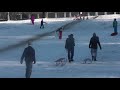 la saniuş În parcul sub arini sibiu