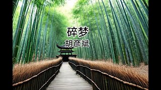 碎梦-胡彦斌 《动态歌词Lyrics》