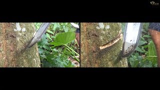 Semi-Chisel vs Full Chisel Chainsaw Chain (cut hardwood tree)