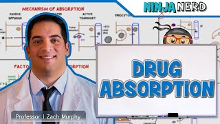 Pharmacokinetics | Drug Absorption