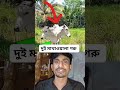 দুই মাথাওয়ালা গরু shorts viralshorts reels reaction react funny facts