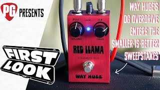 Way Huge Red Llama Overdrive MkIII Demo | First Look