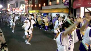 阿波踊り 初台 2009/09/22-23 (No.1)　藤連