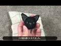 ダイソーの羊毛フェルトアソートで黒猫を作ってみた解説