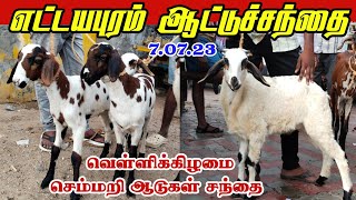 7.07.23/Ettayapuram Friday sheeps market / தரமான எட்டையாபுரம் பொட்டுக்குட்டிகள் சந்தை