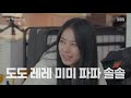 ‘도레미파솔’ 새 이름이 생긴 꼬물이들을 소개합니다 ㅣ어쩌다 마주친 그 개 accident dog ㅣsbs story