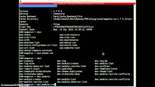 n98-magerun - Interactive Command Shell