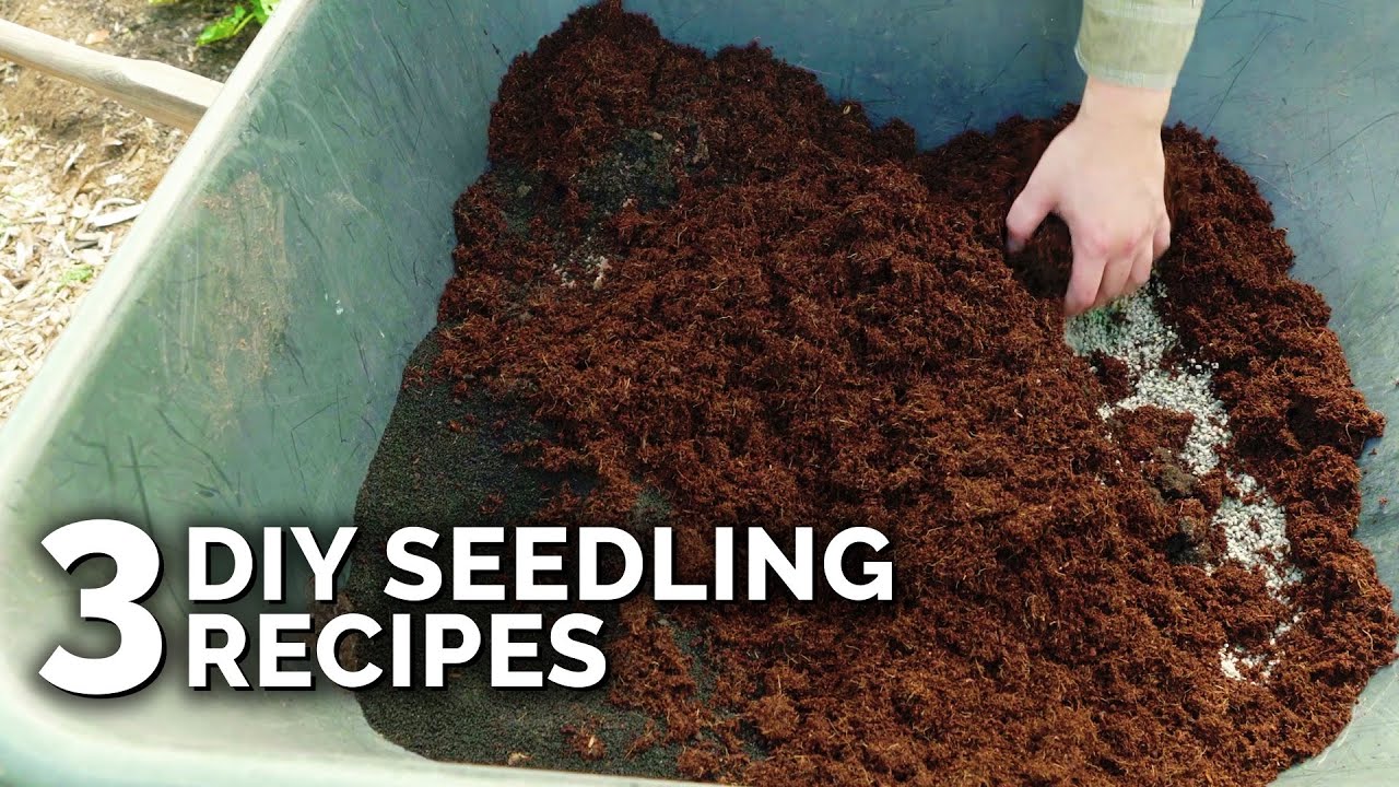 Make Your Own Seed Starting Mix - YouTube