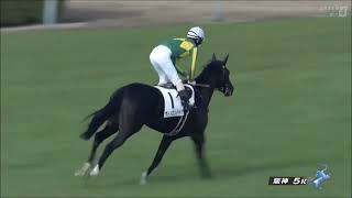 2歳新馬　芝1600m (右 外 A) 　サトノエンパイア　牡2　56.0　北村友一　2023.12.3　　出走馬：スキルハンター、ジューンバタフライ、プレットリンド、セントオブシン、ローレルロイズ他