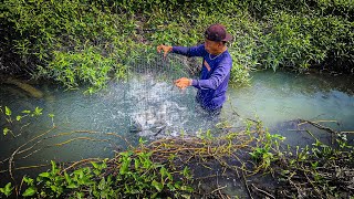 5 Days of hunting in the rice harvest season, caught a lot of fish and went to a 30 meter tree ho...