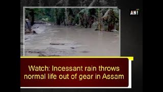 Watch: Incessant rain throws normal life out of gear in Assam - Assam News