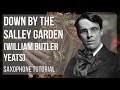 How to play Down By The Salley Garden by William Butler Yeats on Alto Sax (Tutorial)