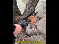 lithium-electric single-hand saw#chainsaws #hardware#tools #viralvideo #foryou