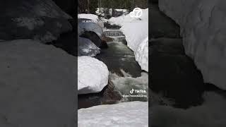 Sierra Nevada creeks gush as historic snowpack melt intensifies