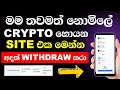 How to earn free crypto sinhala /  live withdraw proof / earn money from online