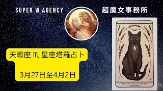 天蠍座 ♏️星座塔羅占卜 3月27日至4月2日