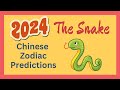 🐍 Snake 2024 Chinese Zodiac Predictions | Chinese Horoscope