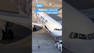 羽田空港で見たANA「鬼滅の刃じぇっと 」特別塗装機