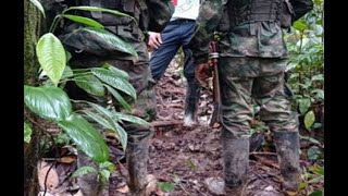 Violencia sin tregua en Cauca: 4 colegios suspendieron clases y 3 veredas están en riesgo