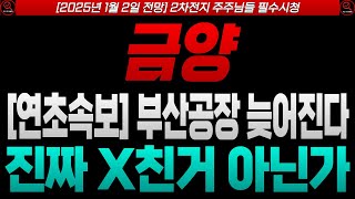 [금양 금양주가 금양주가전망]🔴연말 긴급공시 부산공장2 지연된다?? [2차전지]