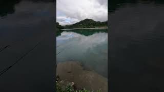 新店廣興長福宮河岸釣鯉魚 (Carp fishing on the bank of Changfu Temple in Guangxing, Xindian)