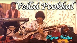 Vellai Pookkal | Rajhesh Vaidhya