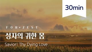 [Forrest] Savior! Thy Dying Love [30m] wmscog Ahnsahnghong newsong cover