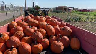 Jail garden prepares for pumpkin event