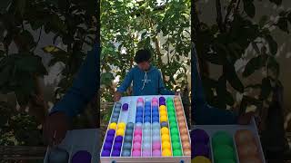 Top world record 10x9=90ball colorpuzzle sort ball game solve very smart challenge player