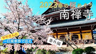 春の京都　桜巡り2023 第4回　南禅寺の桜