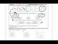 (6.1) Scatterplots, Correlations, and Lines of Fit