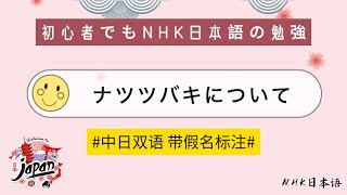 【日语の練習】 日语の新聞《ナツツバキについて》日语听力练习 日语新闻阅读 #假名标注 中文翻译 日语学习 日语文章#カタカナ＃