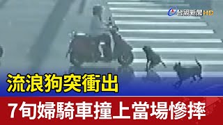 流浪狗突衝出 7旬婦騎車撞上當場慘摔