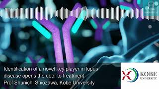 Identification of a novel key player in lupus disease opens the door to treatment