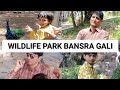 ADVENTUROUS JOURNEY EPISODE 26 | Wildlife Park Bansra Gali | Family Trip Vlog By Z Family Vlogs