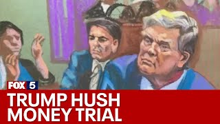 Donald Trump hush money NY trial jury selection: Day 2 | FOX 5 News