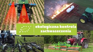 EKOLOGICZNA KONTROLA ZACHWASZCZENIA | Rozwiązania, które mogą zmienić rolnictwo? | Pierwsze Q\u0026A !