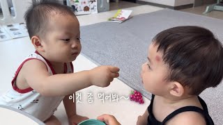 우애 좋은 4개월 차이 형, 동생!