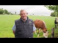 irish hereford prime farmer member conor breen