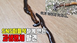 한때 SNS 떠들썩했던 ㄹㅇ괴생명체 발견했다ㅎㄷㄷ잡아키워보자!!!  [정브르]