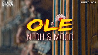 Neoh and Mood - Ole (Original Mix)