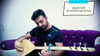 Zeynel Ardil - Bir Gönüle Aşk Girince