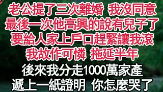 老公提了三次離婚 我沒同意，最後一次他高興的說有兒子了，要給人家上戶口趕緊讓我滾，我故作可憐 拖延半年，後來我分走1000萬家產，遞上一紙證明 你怎麼哭了【顧亞男】【高光女主】【爽文】【情感】