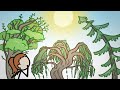 Why Do Weeping Willows Weep?