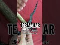 Keris nogo? TERMAHAR #keris #art #pusakatosanaji #sejarah #pusaka #langka #kerispusaka #misteri